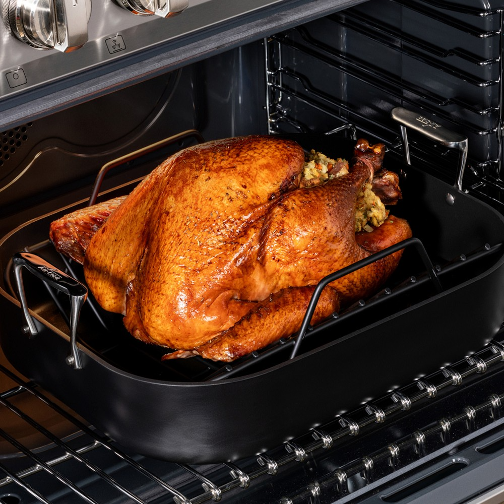 All-Clad NS Pro™ Nonstick Roaster with Rack