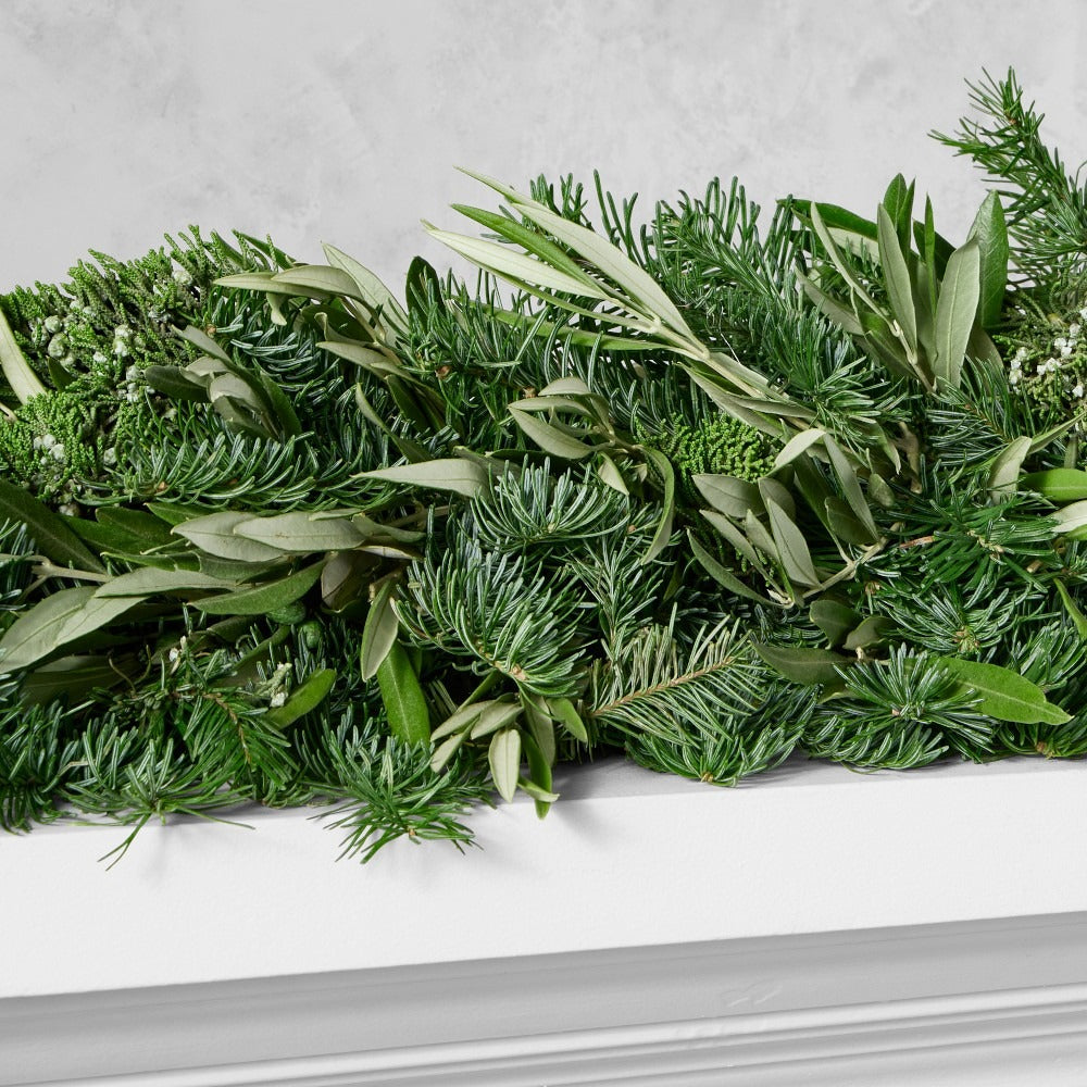 Olive & Greenery Holiday Live Wreath & Garland