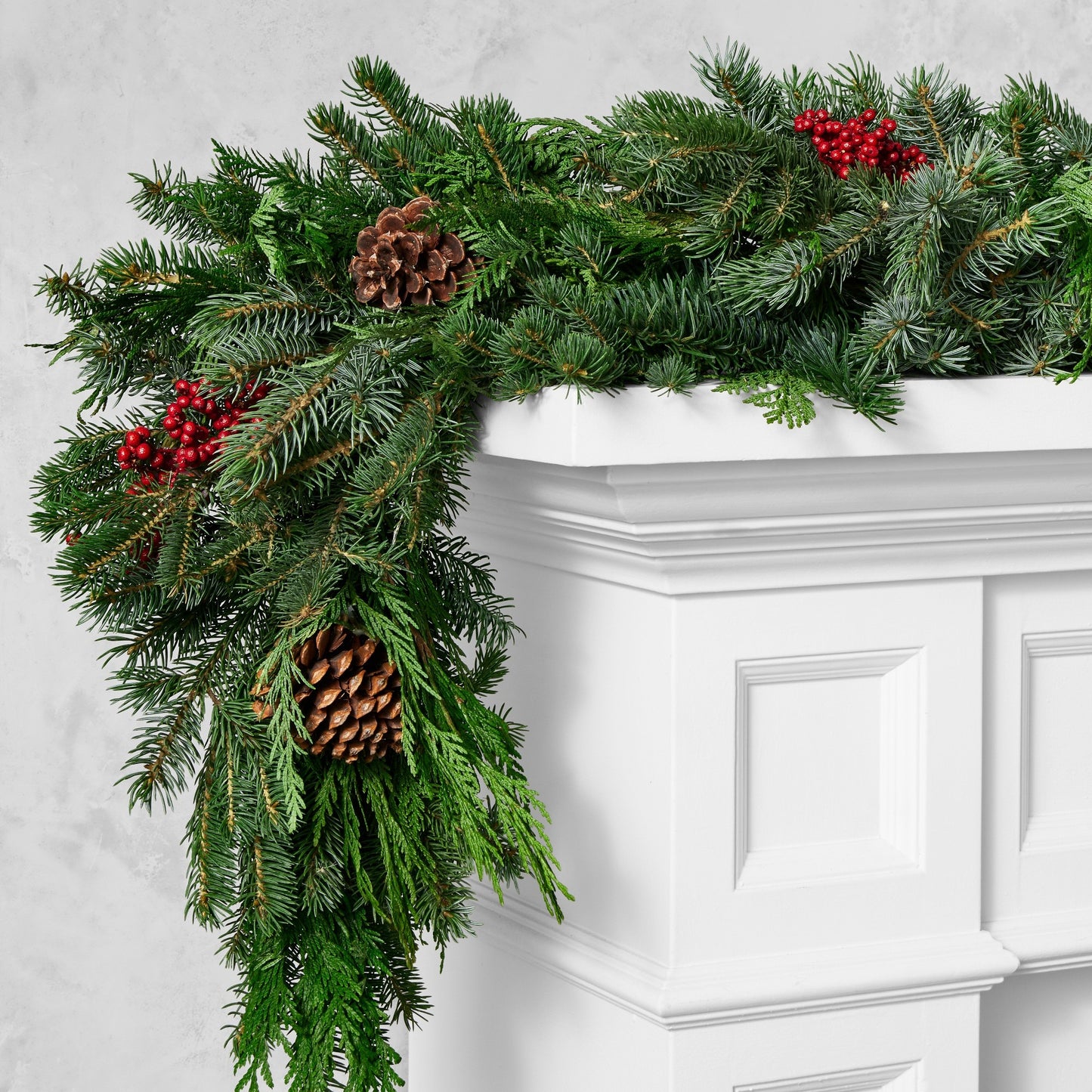 Holiday Berry & Pine Live Wreath & Garland