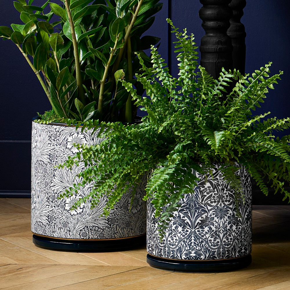 Morris & Co. x Williams Sonoma Ceramic Planter Collection