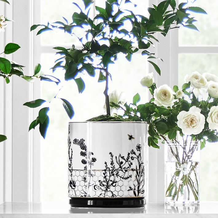 Honeycomb Ceramic Planter Collection