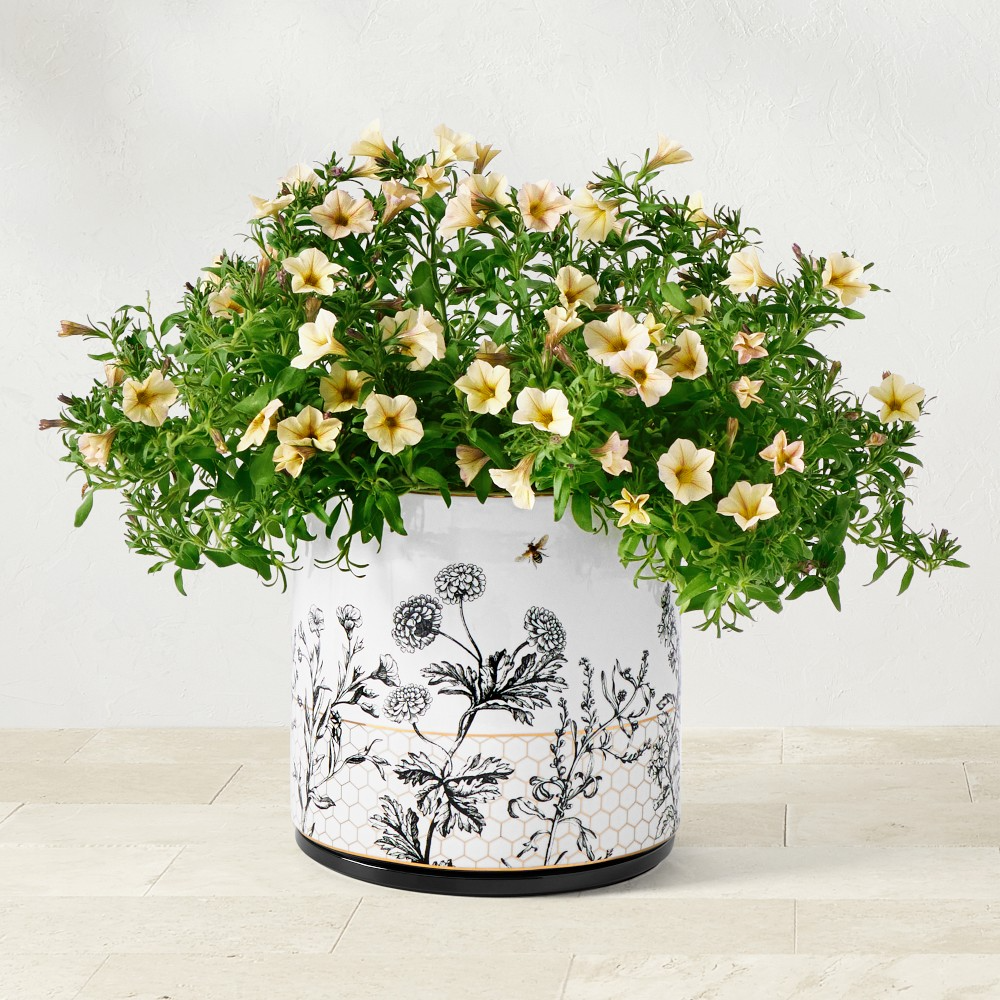 Honeycomb Ceramic Planter Collection