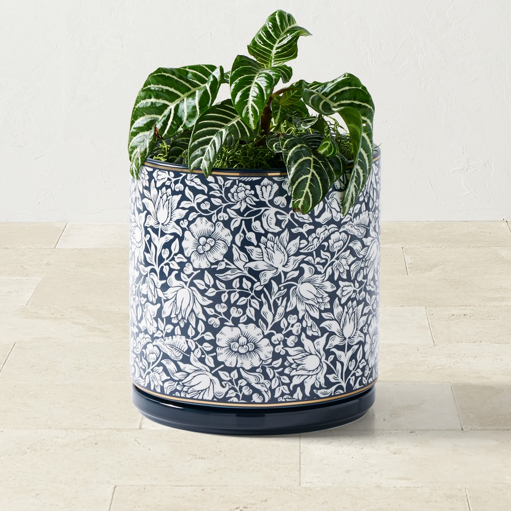 Morris & Co. x Williams Sonoma Ceramic Planter Collection