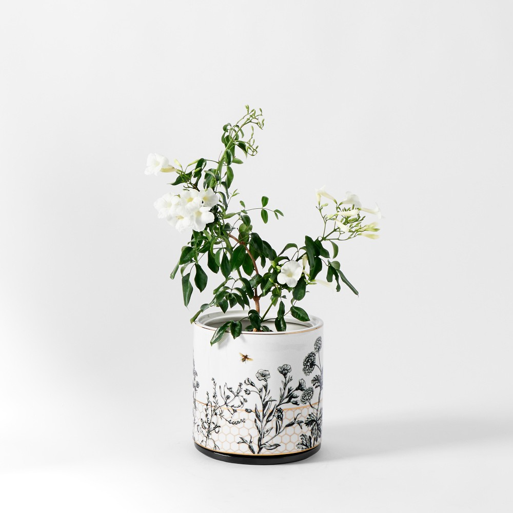 Honeycomb Ceramic Planter Collection