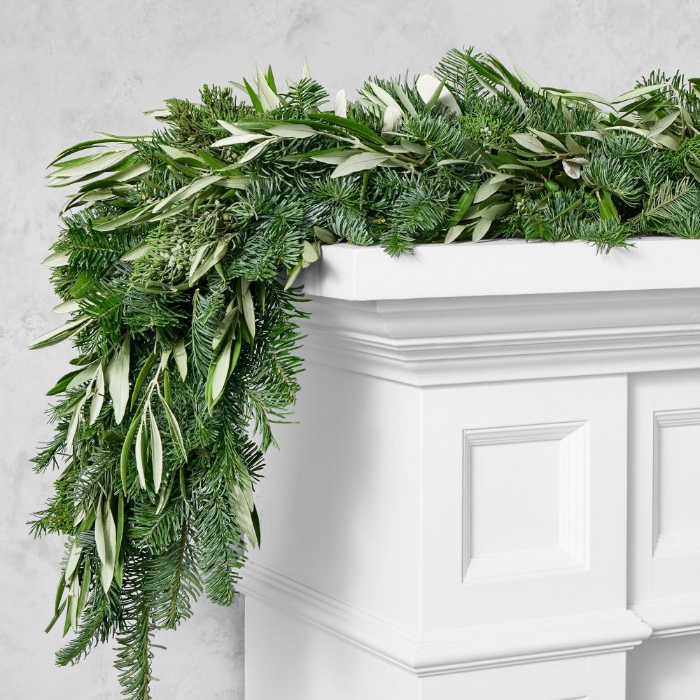Olive & Greenery Holiday Live Wreath & Garland